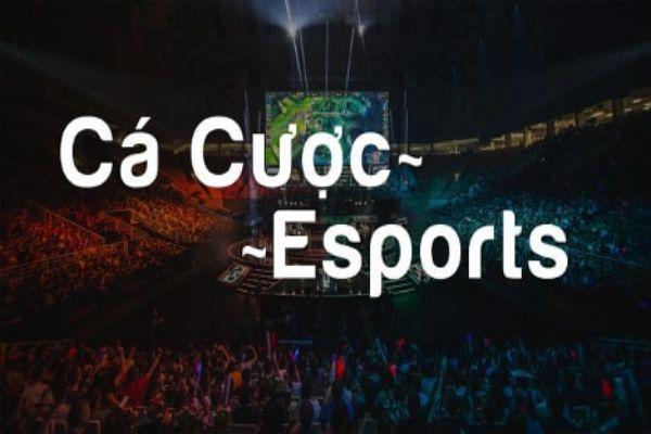 Điểm mặt các bộ môn đặt cược Esport đang được yêu thích hiện nay